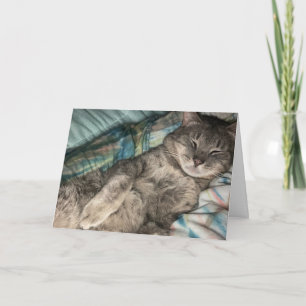 Kitten Card