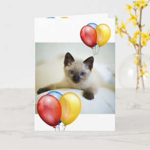 Kitten card