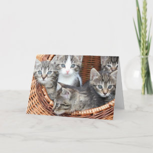 Kitten Card