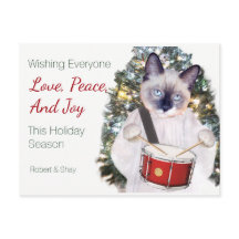 Kitten Carol Christmas Postcard