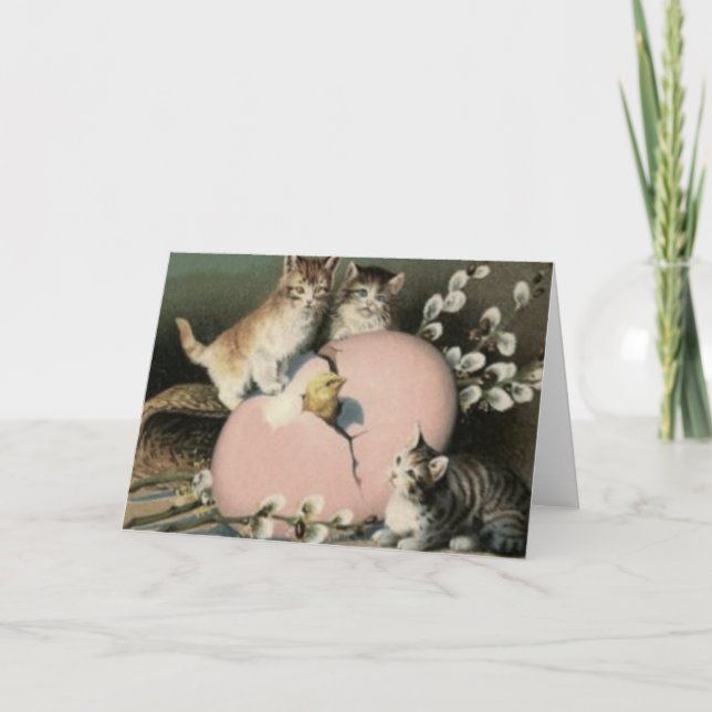 Kitten Cat Easter Chick Coloured Painted Egg Holiday Card (Front)