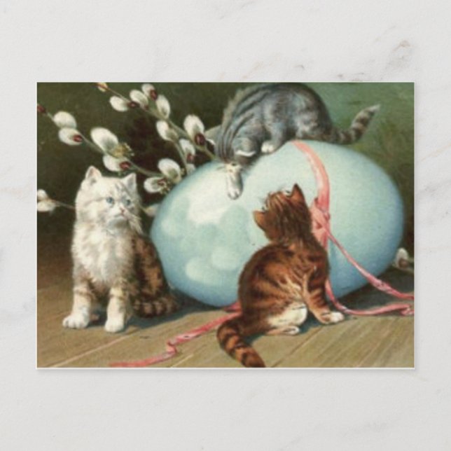 Kitten Cat Easter Coloured Painted Egg Holiday Postcard (Front)