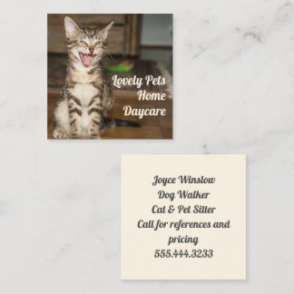 Kitten Cat Pet Sitter Square Business Cards