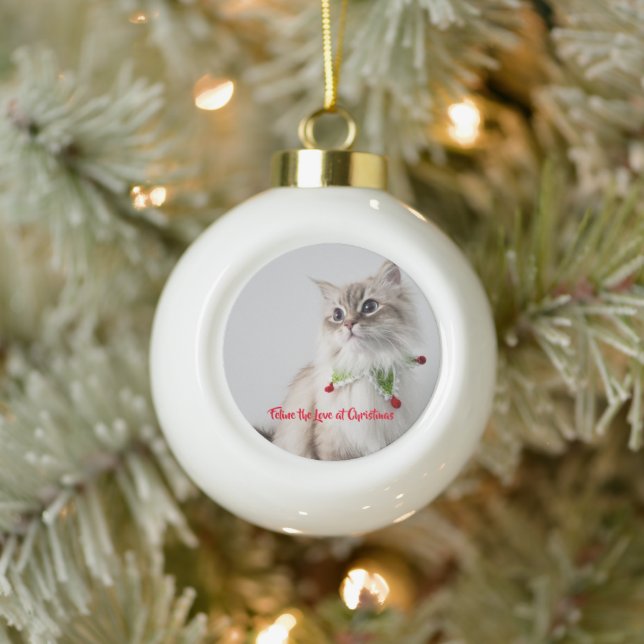 Kitten Cat Photo Typography Cute Chic Ceramic Ball Christmas Ornament (Tree)