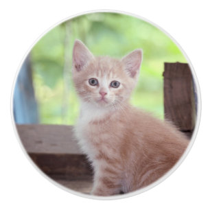 Kitten Ceramic Knob