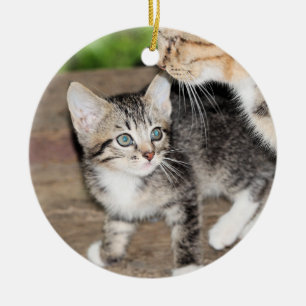 Kitten Ceramic Tree Decoration