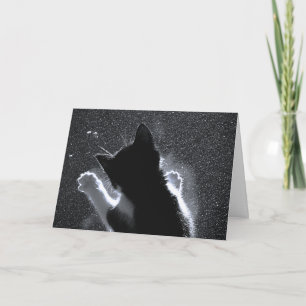 Kitten Chasing Snowflakes Card