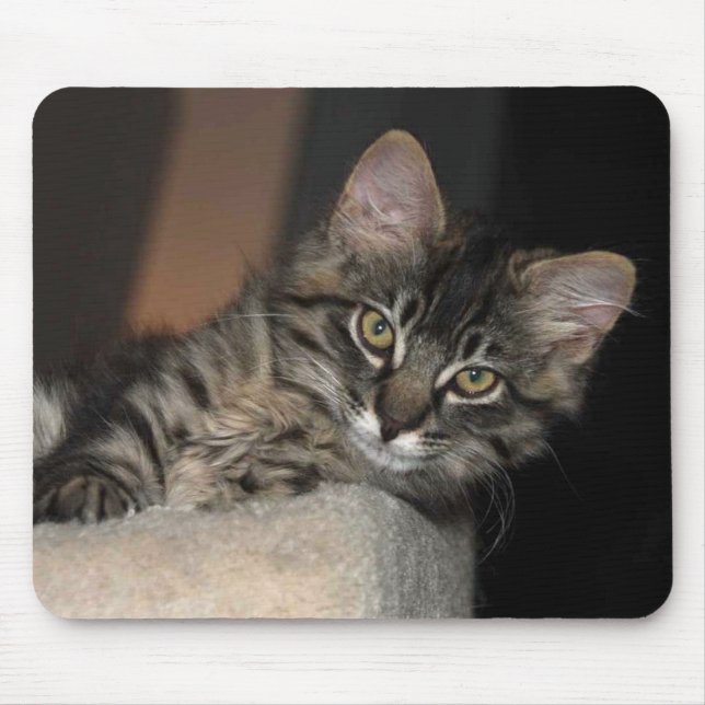 Kitten Chillin' Mouse Pad (Front)