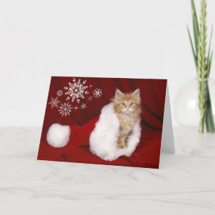 Kitten Christmas Card