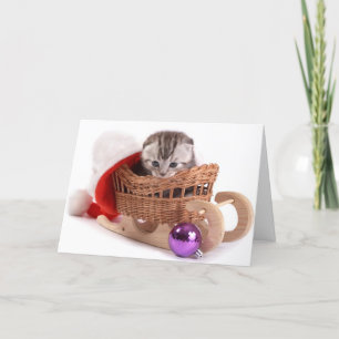 Kitten Christmas Card - Mr. Kitty Little Ears
