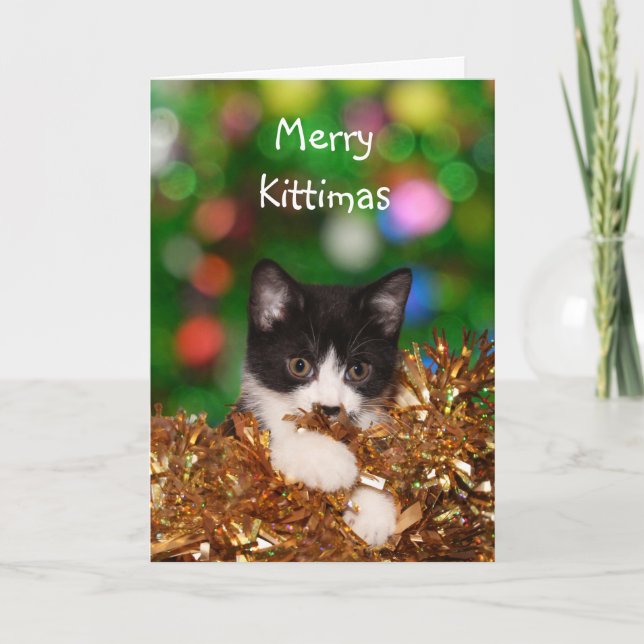 Kitten Christmas Holiday Card (Front)