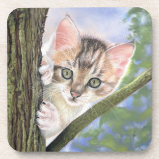 Kitten Coaster