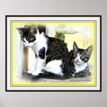 Kitten cuteness poster