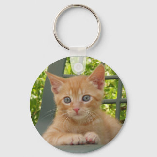Kitten Dax Keychain