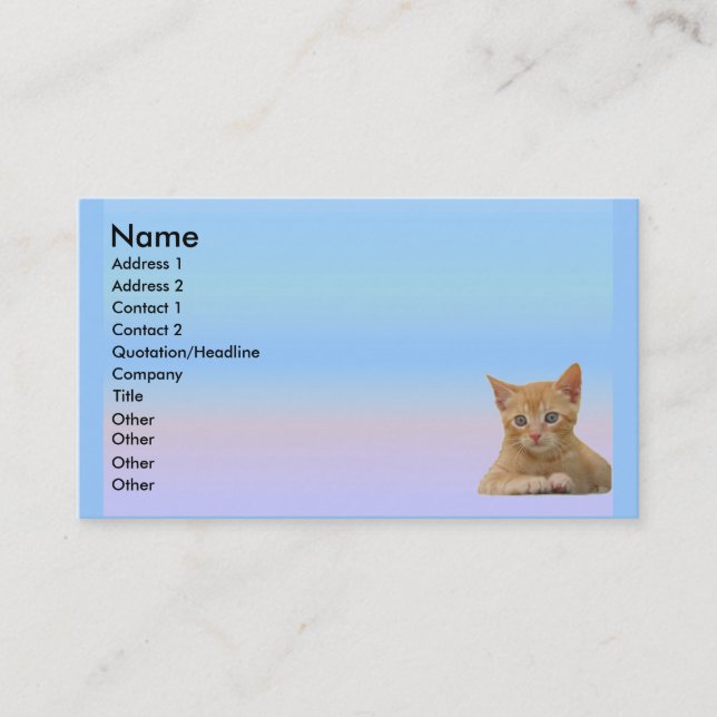 Kitten Dax Profile Card (Front)