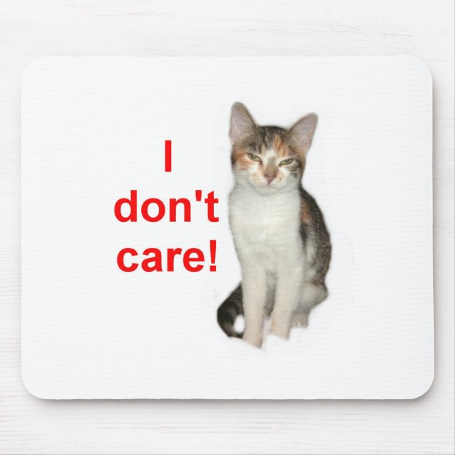 Kitten Doesnt Care Mouse Pad (Front)