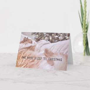 KITTEN DREAMING Greeting Card