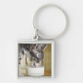 Kitten drinking milk from glass key ring