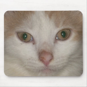kitten face 1 mousepad