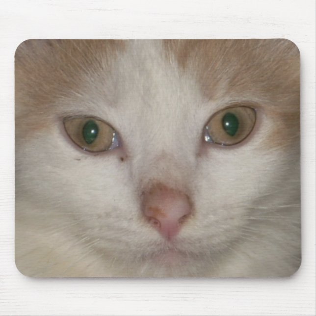 kitten face 1 mousepad (Front)