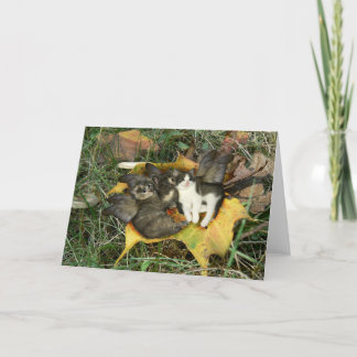 Kitten Fairies Greeting Card