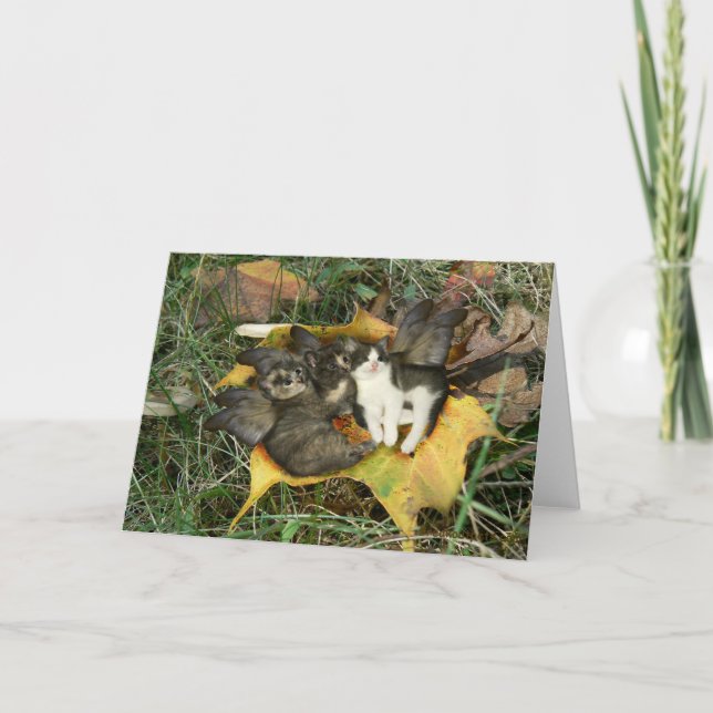 Kitten Fairies Greeting Card (Front)