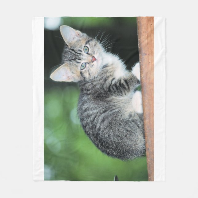 Kitten  fleece blanket (Front)