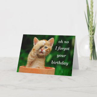 kitten forgot birthday card