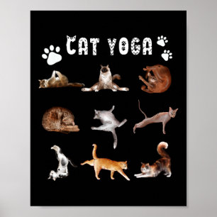 Kitten Funny Cat Lover Yoga Poses Men Women Poster