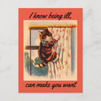 Kitten Get Well Postcard