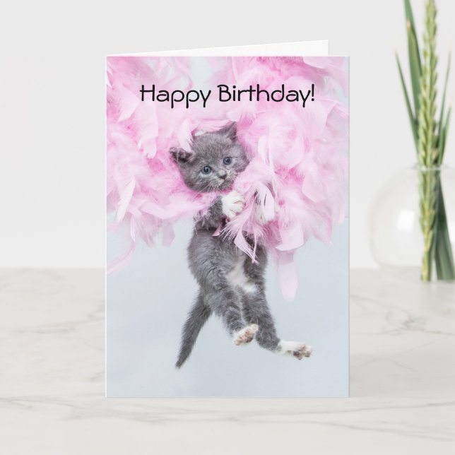 Kitten Glamour-puss birthday card (Front)