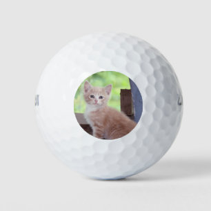 Kitten Golf Balls