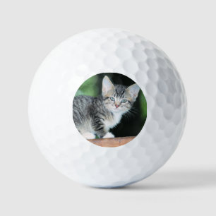 Kitten Golf Balls