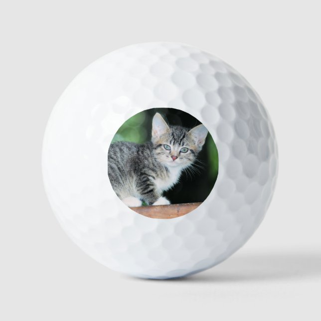 Kitten Golf Balls (Front)