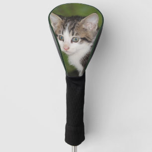 Kitten Golf Head Cover
