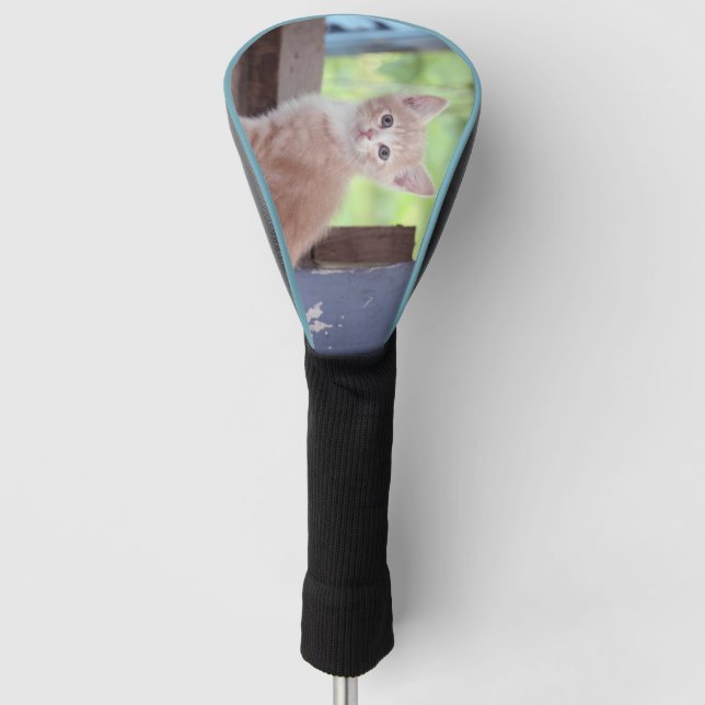 Kitten Golf Head Cover (Front)
