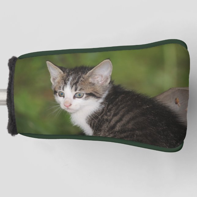 Kitten Golf Head Cover (Front)