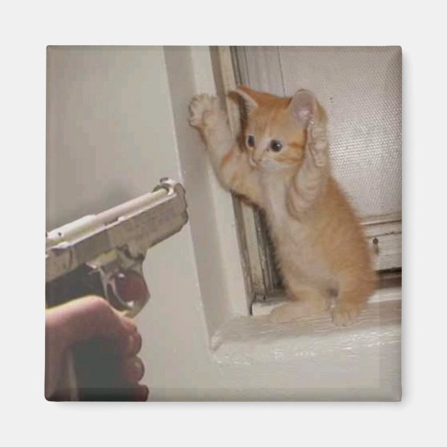 Kitten held at gunpoint! magnet (Front)