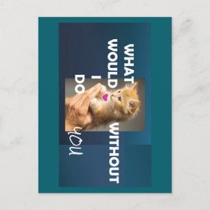 Kitten held by a hand text what would I do without Postcard
