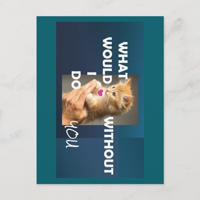 Kitten held by a hand text what would I do without Postcard (Front)
