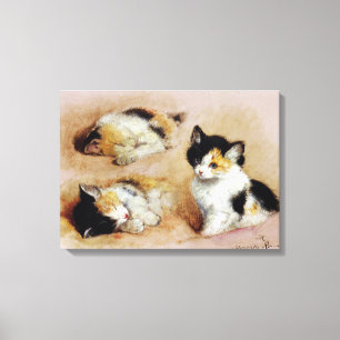 Kitten, Henriëtte Ronner-Knip Canvas Print