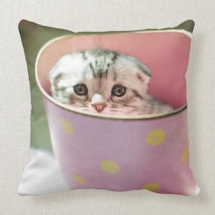 Kitten Hiding Cushion