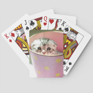 Kitten Hiding Playing Cards