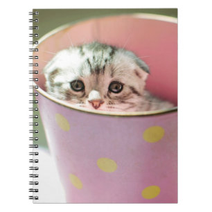Kitten Hiding Spiral Notebook