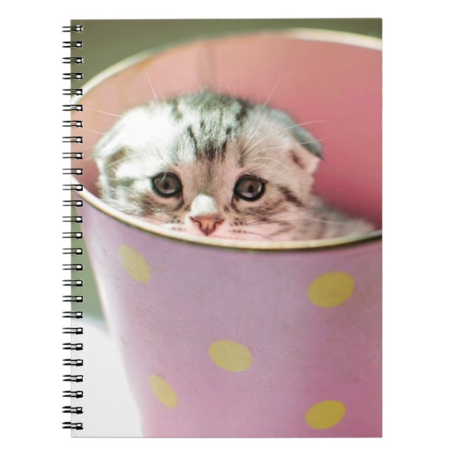 Kitten Hiding Spiral Notebook (Front)