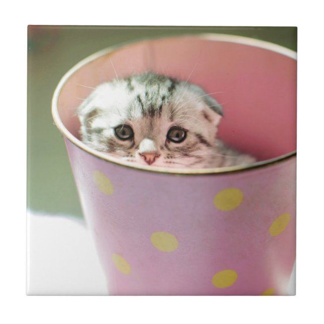 Kitten Hiding Tile (Front)