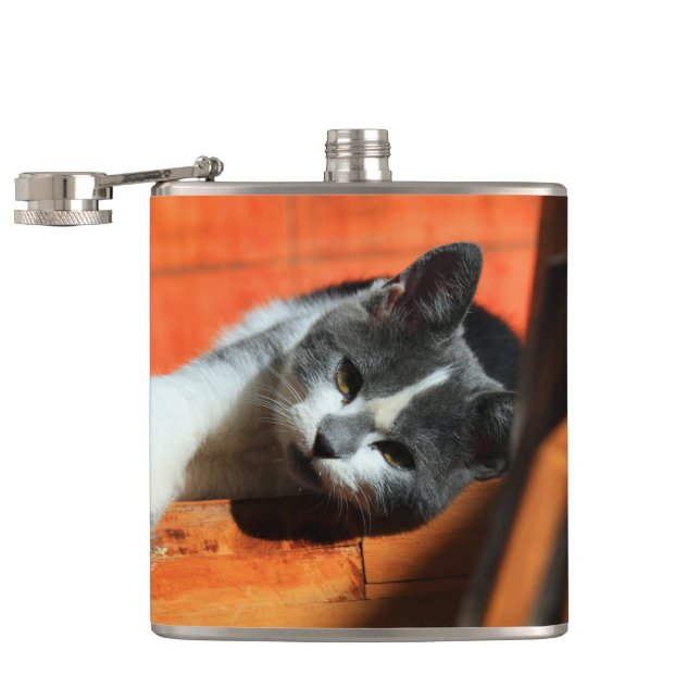 Kitten Hip Flask (Opened)