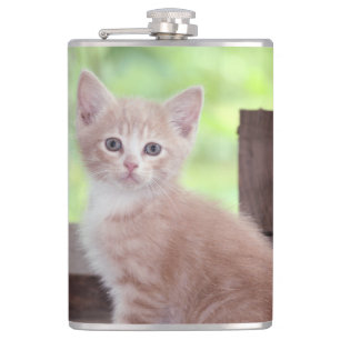 Kitten Hip Flask
