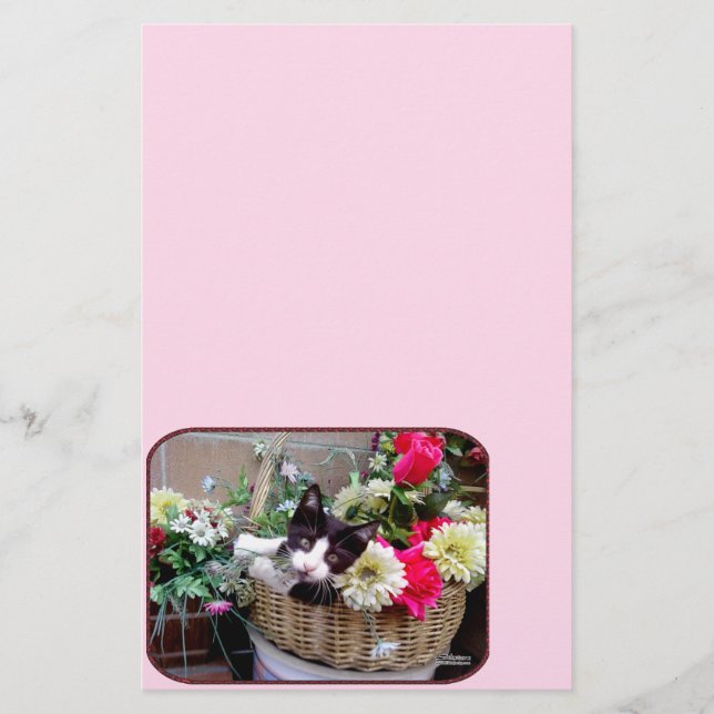 Kitten in a Basket (Front)