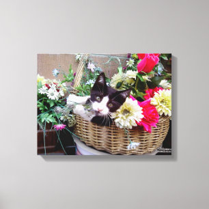 Kitten in a Basket Canvas Print